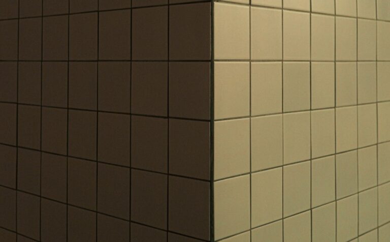 Mold spots on bathroom tile grout and silicone seal in a Florida home
