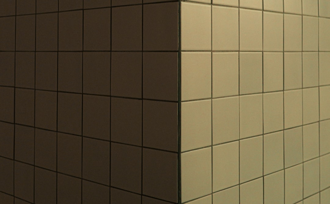 Mold spots on bathroom tile grout and silicone seal in a Florida home