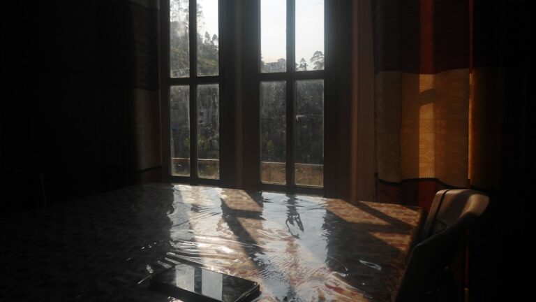 Sunlight on standing water inside a home — water damage in a Florida interior